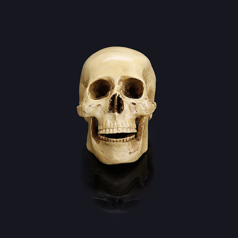 Halloween skull model 1 1680966579473.jpg