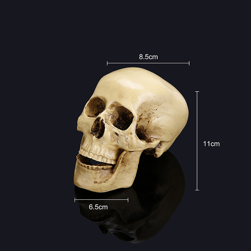 Halloween skull model 5 329067616546.jpg