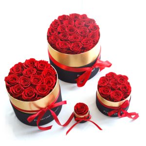 55e902c0 77fc 43a2 9cd2 235bb0c5c7c9 1.jpg
