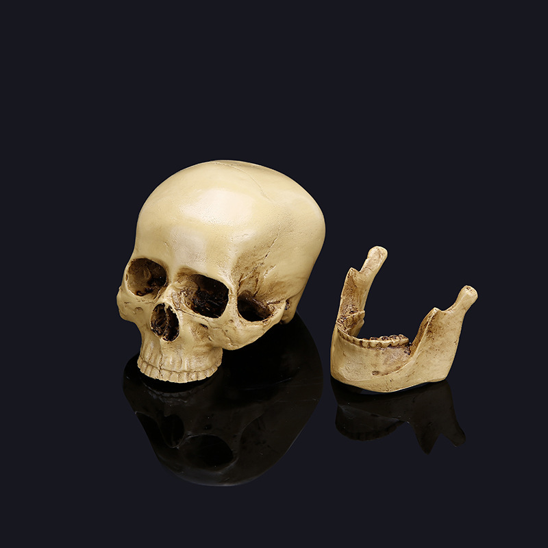 Halloween skull model 3 565204275541.jpg