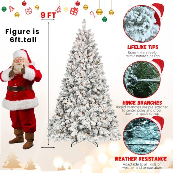 029ce79d a072 45e2 9ad3 d6e18d7db7b1.jpg