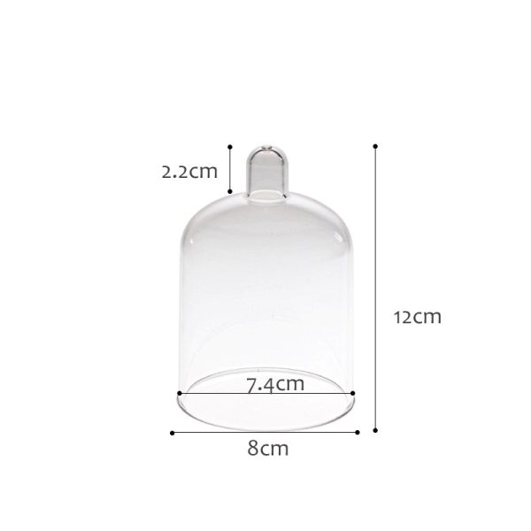 1617586067892.jpg