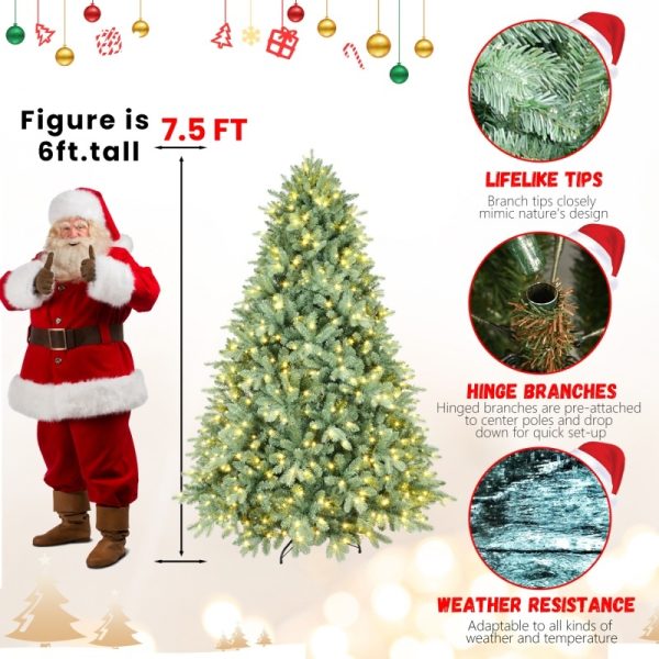 2c1ef27e 897d 40db 8f32 0aaa7ac93f22.jpg