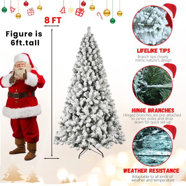 32fc753d efbf 4d37 abda 8e4382b8f94c.jpg