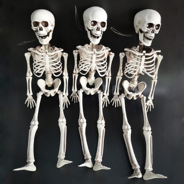 39552269682085.jpg