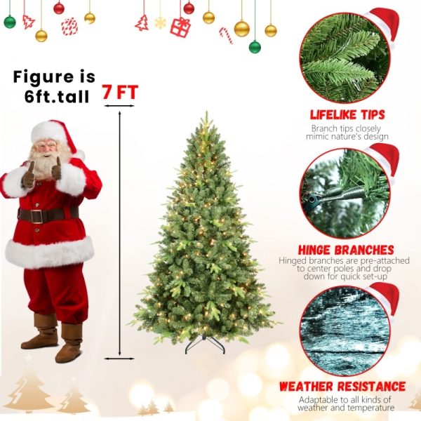 477b708d 57c2 4ec5 9665 1d62944f9fd7.jpg
