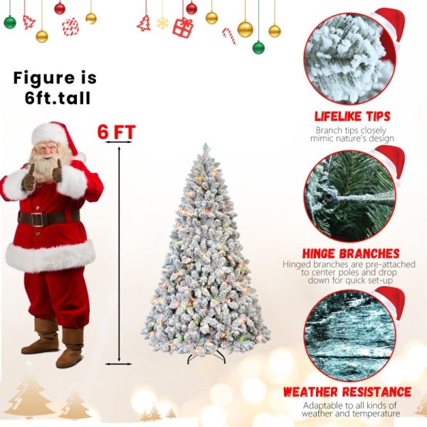 4f3d194b b0c4 4aba b2e3 9a32e55d5488.jpg