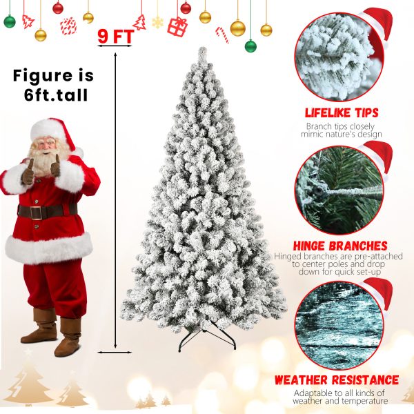 7b783019 e422 4c2d b050 cf0529d4cbd9.jpg