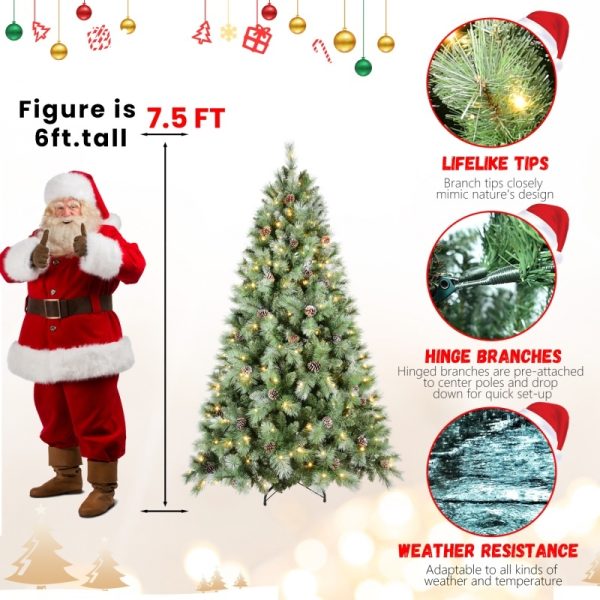 85bee6d9 3aed 4ff0 9ebb 309e74894138.jpg