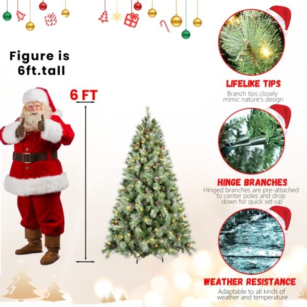 8ee36ab6 98c8 49a9 afd5 77bea0440d8f.jpg