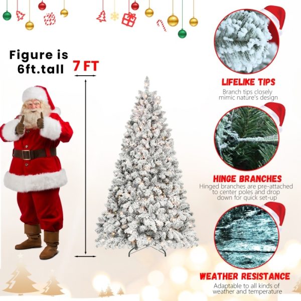 a1956ff6 9d1a 461a 8126 78206a333668.jpg