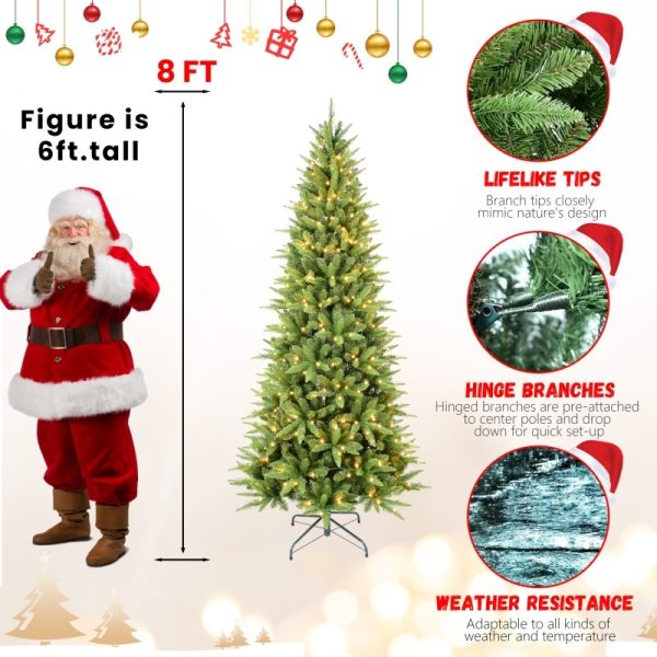 a5372e48 aa6d 4a20 a241 36d6025c6ac5.jpg