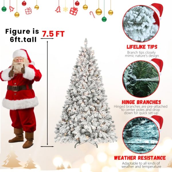 a549930e a198 4206 8331 0998335af9ce.jpg