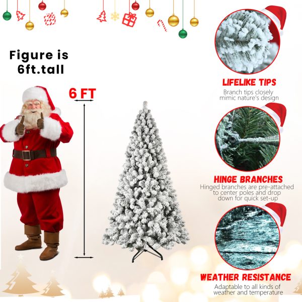 ab112d45 775d 4eb3 a48c c0a9fbf6e957.jpg