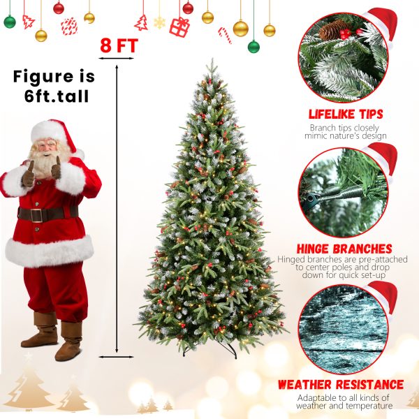 c5264448 56cd 4e4c 90d0 3607a9bad5bc.jpg
