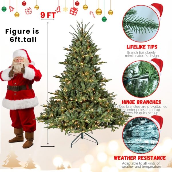 d29442d3 16de 4f7e 8241 42ed2a7a7b2c.jpg