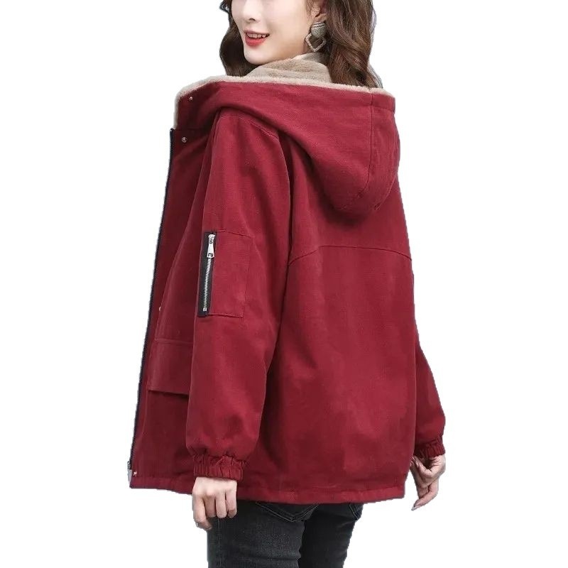 Fleece-lined Thick Loose Casual Korean Super Hot Cotton-padded Jacket 4 Fleece-lined Thick Loose Casual Korean Super Hot Cotton-padded Jacket - Image 4